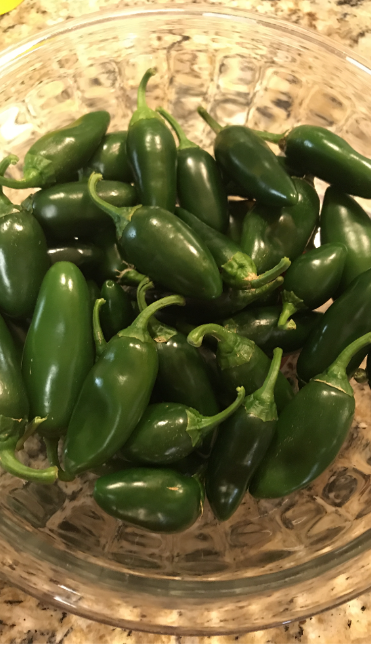 C9702CF5-5014-42EE-9867-82B89AD7C884