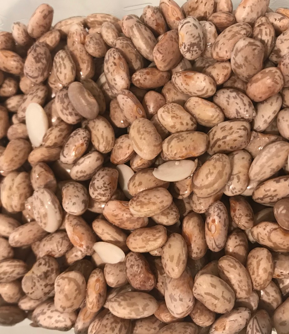 8DEEC7E4-4E6F-4F86-B6AD-E92EEE27954A