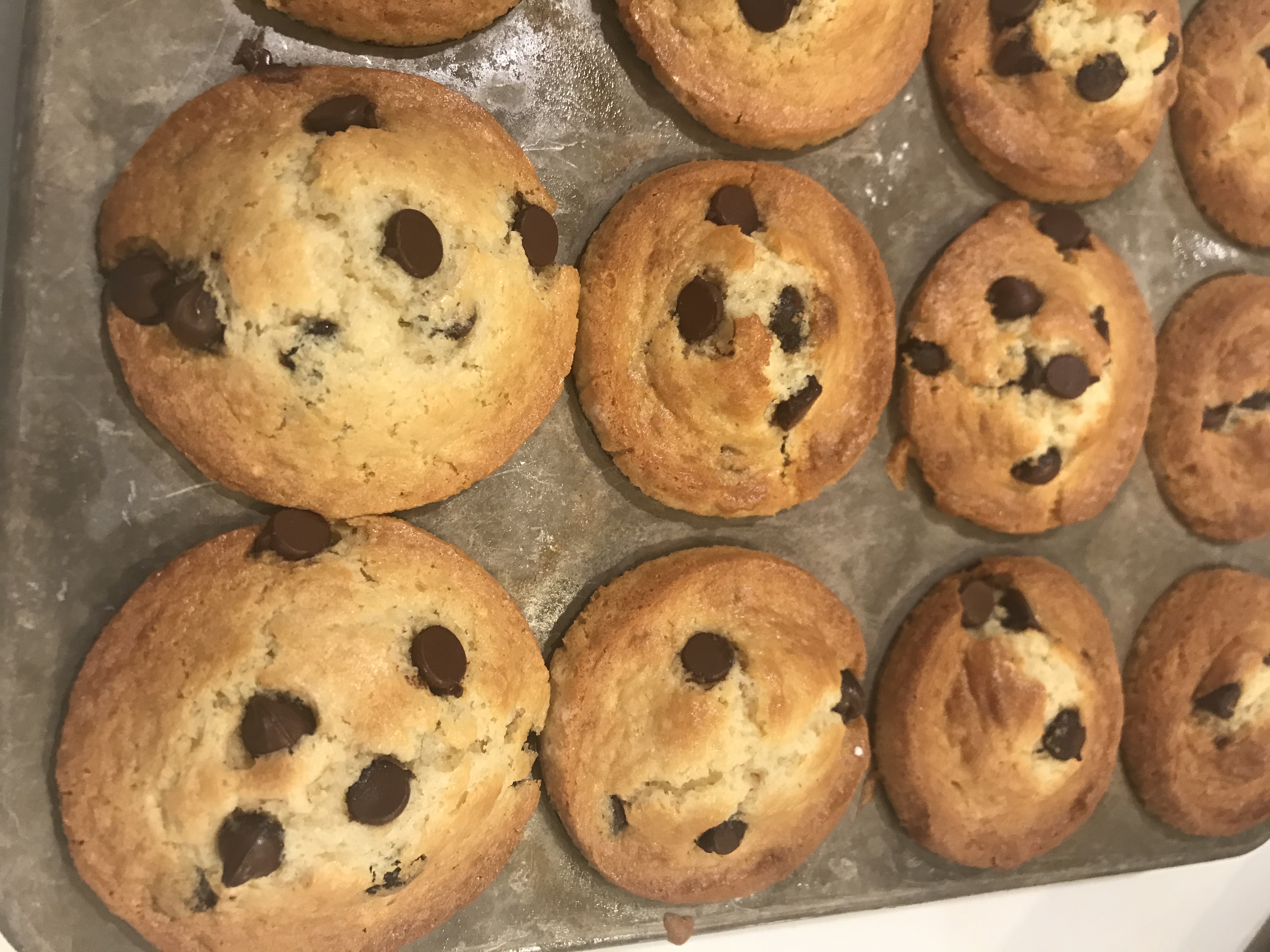 7C4F4D80-3A92-4C1C-A938-F8F1A39B5CE8